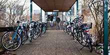 Zur Seite: Studiengänge