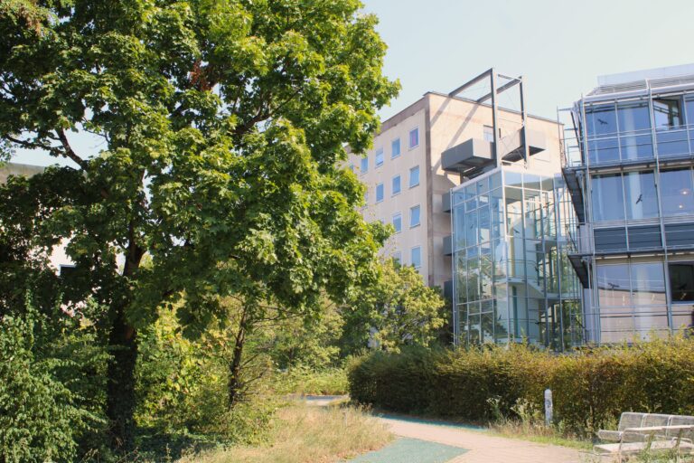 Beitragsbild für Incoming students