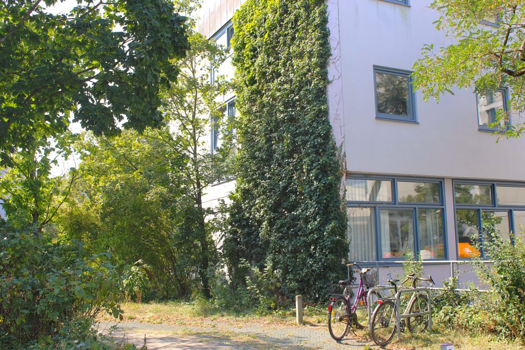 Wie sind die Studiengänge der Soziologie aufgebaut?