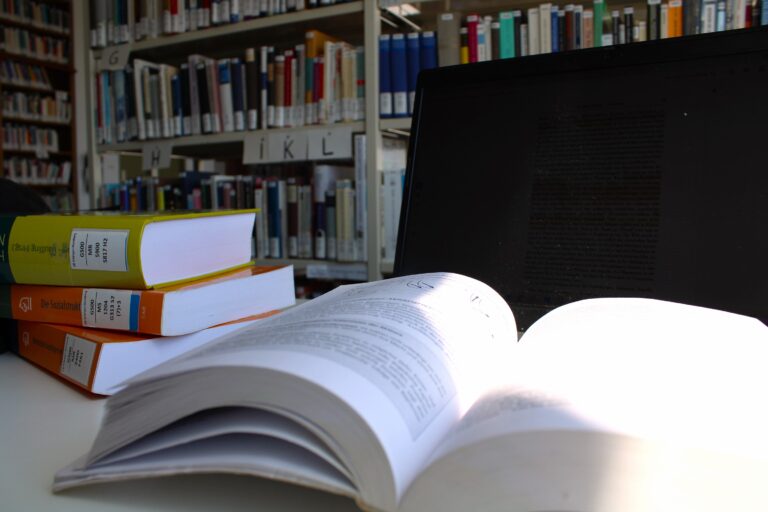 Beitragsbild für Studienschwerpunkte